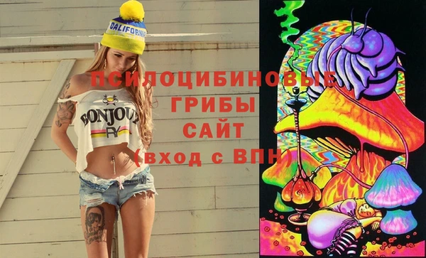 круглые Алексеевка