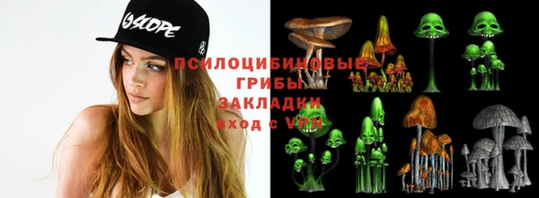 стафф Алзамай