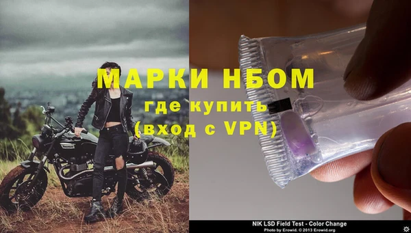 шишки Абаза
