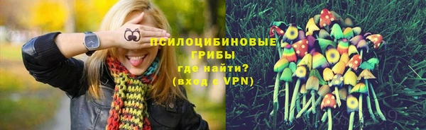 эйфоретик Алексин