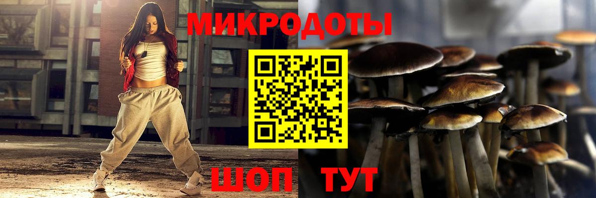 Галлюциногенные грибы Psilocybine cubensis  Псилоцибиновые грибы Magic Shrooms  Вход с VPN  Чапаевск 