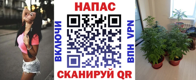 мега   Чапаевск  Бошки Шишки гибрид 